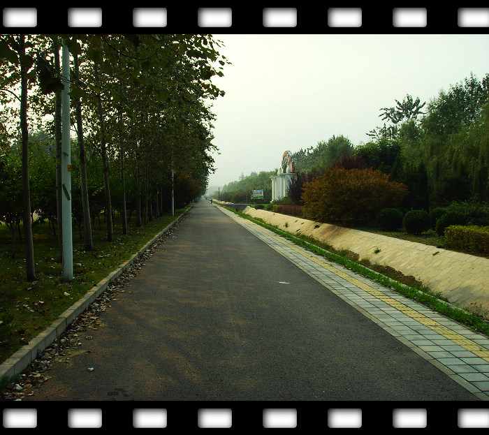 北清路，这是自行车道