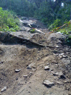 这个坡我骑下来了!哈哈哈哈!