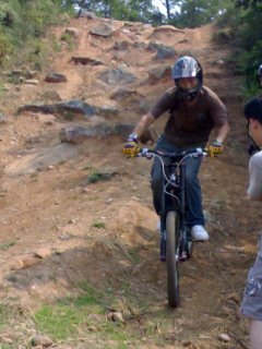 下来了!下来了!豹下山了!大家快闪!