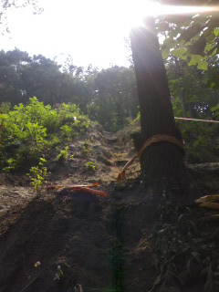 听说这个比虎头更牛X!