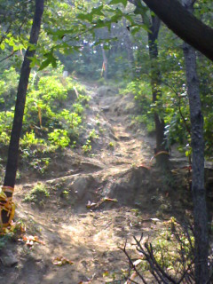 这个要来可要哟这点!