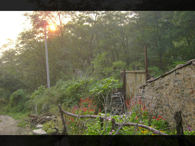 小叩柴扉久不开