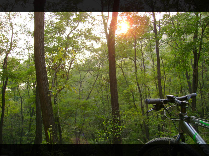 夕阳西下，催我前行