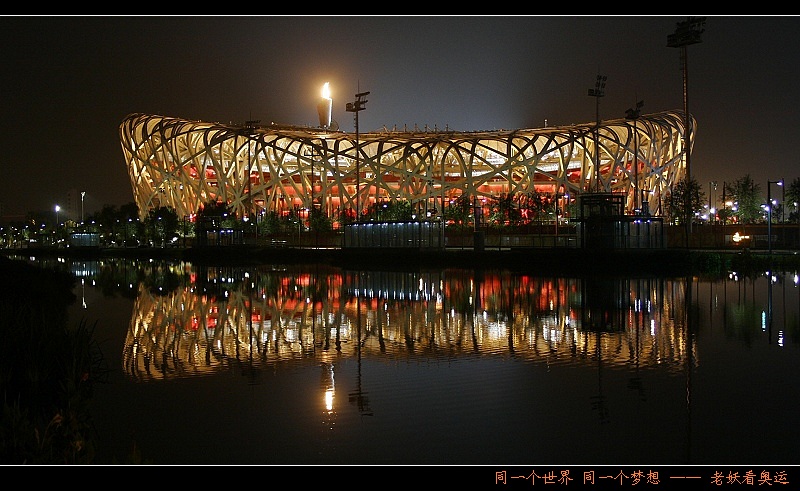 鸟巢之夜五.jpg