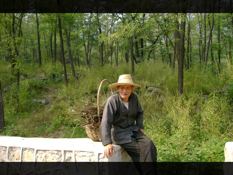 家住香泉环岛一代