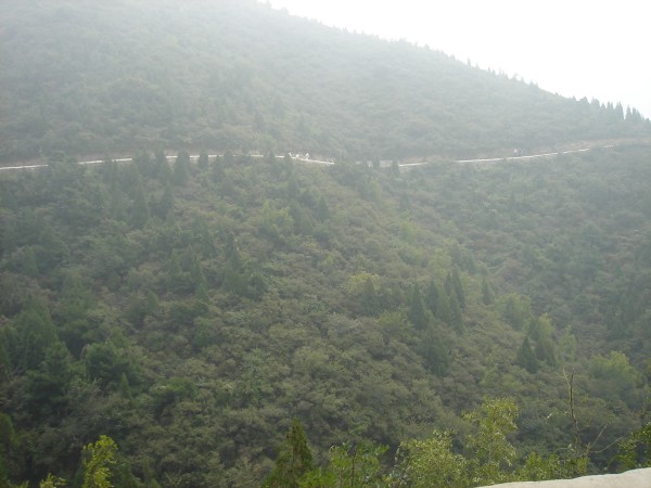 放坡时的路 就一个字 爽！