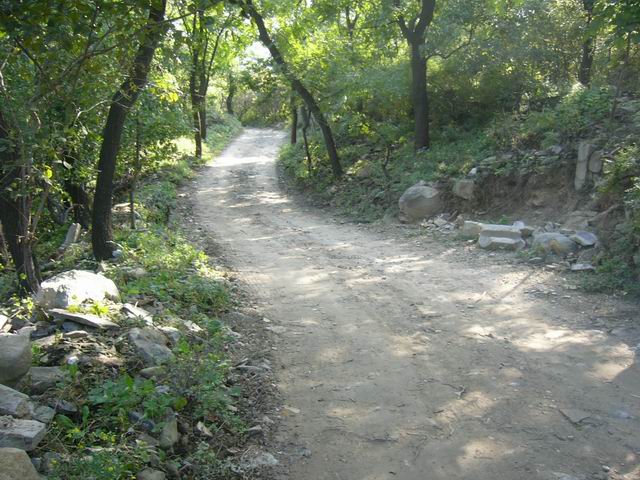 调整大小 P1010125.JPG