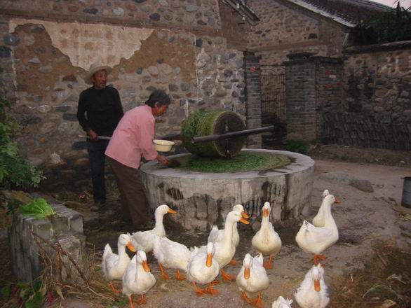 调整大小 IMG_9221.JPG