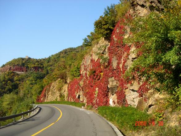 调整大小 1700390334309529755.jpg