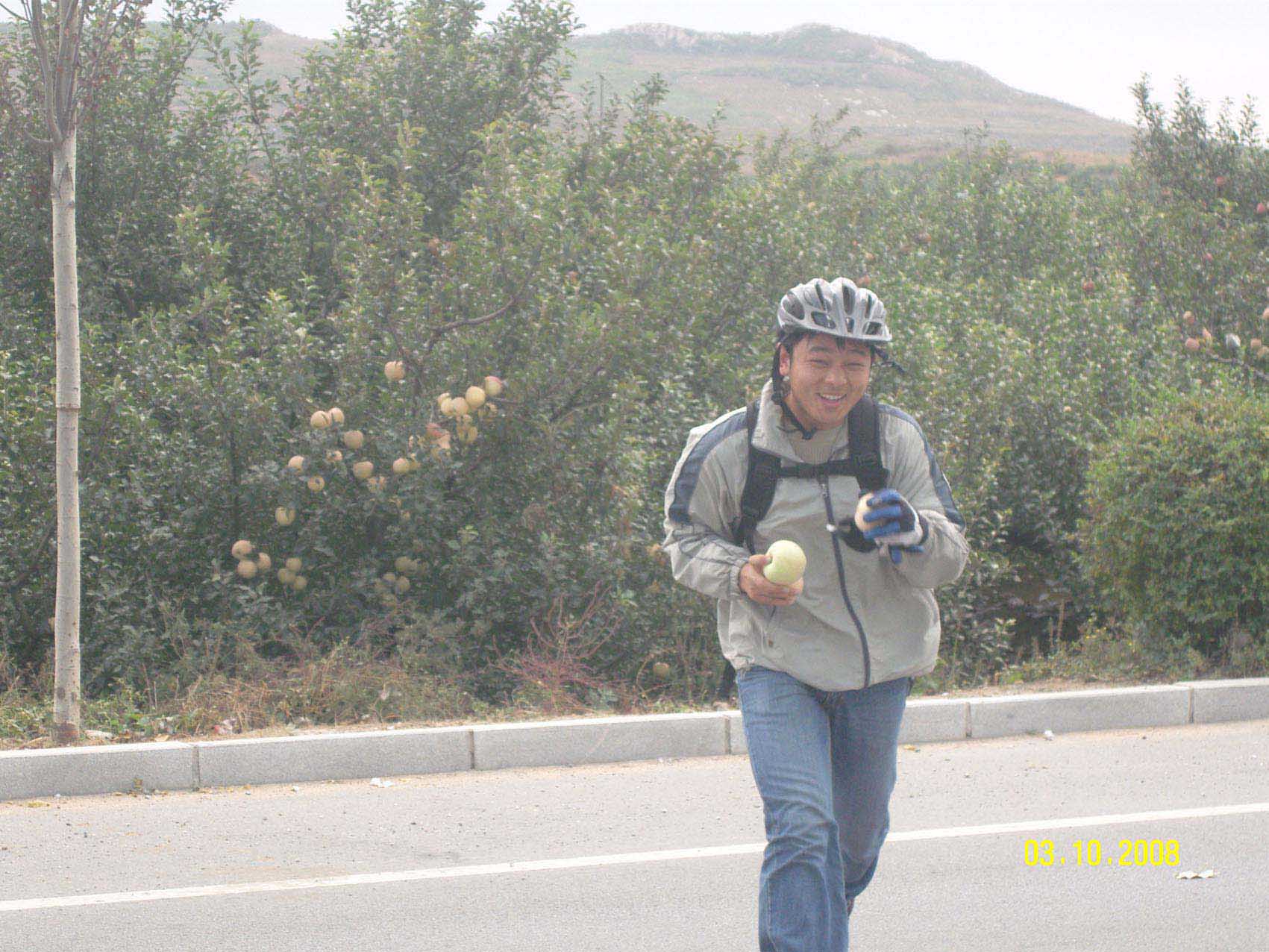 一品梅在偷苹果