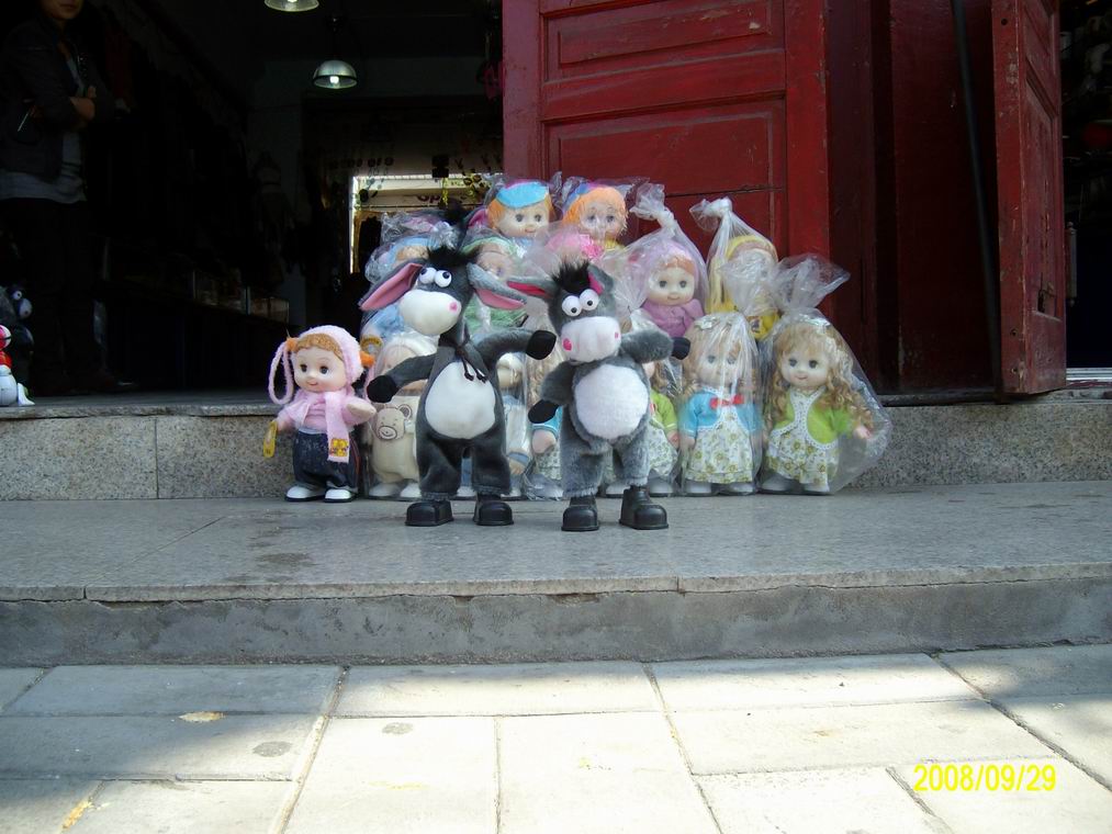 调整大小 ALIM0734.JPG