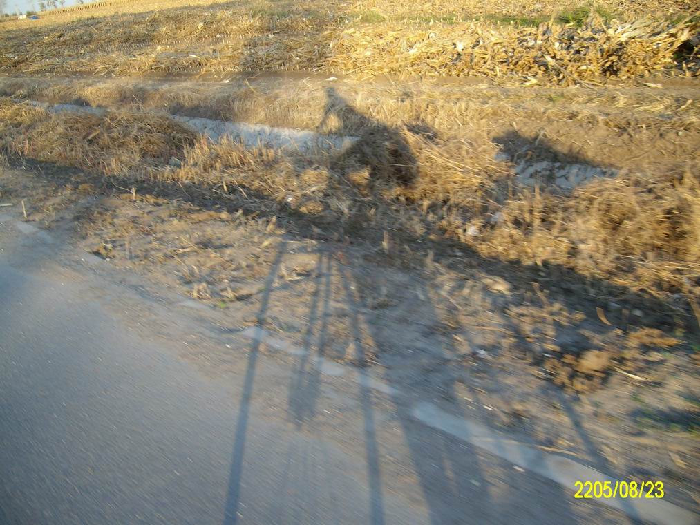 调整大小 ALIM0771.JPG