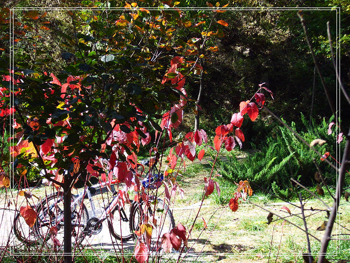 穿过东方红，来到休息区