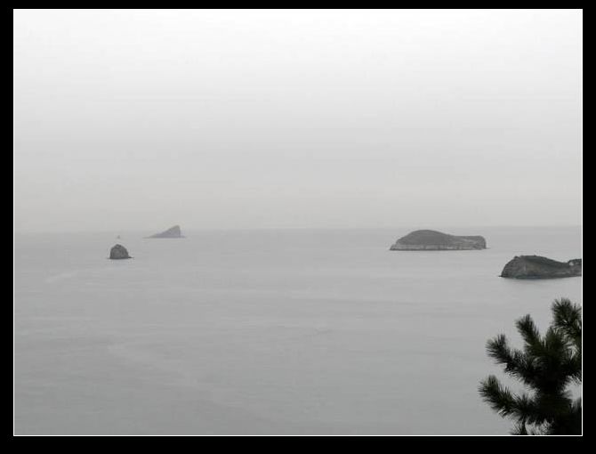 调整大小 P1020641.JPG