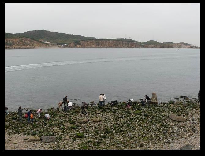 调整大小 P1020625.JPG