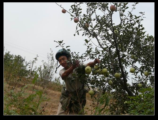 调整大小 P1020576.JPG