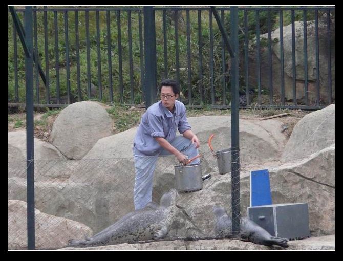 调整大小 P1020649.JPG