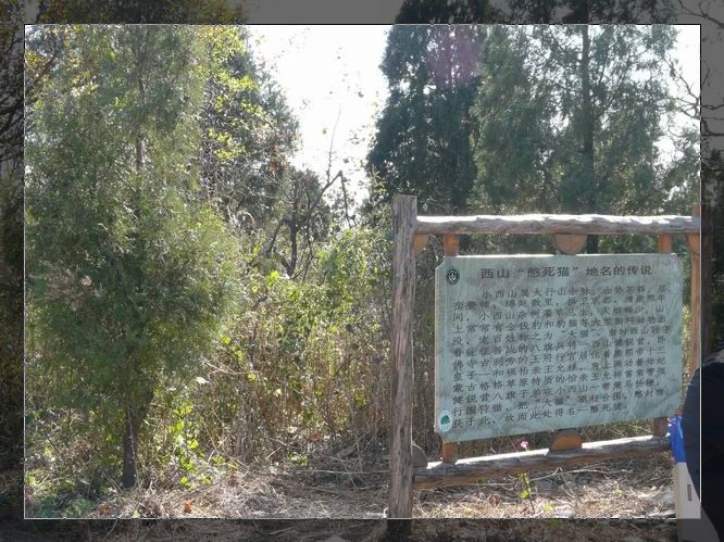 调整大小 P1020746.JPG