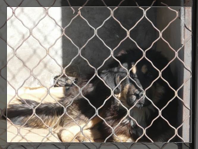 调整大小 P1020763.JPG