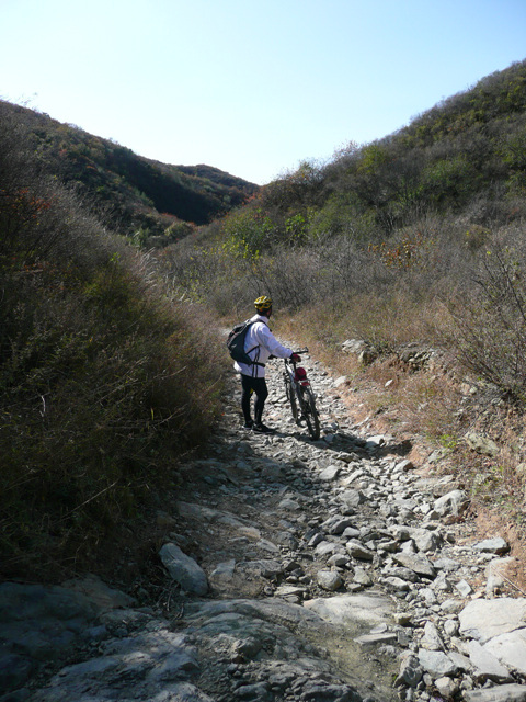 看看走过的路......