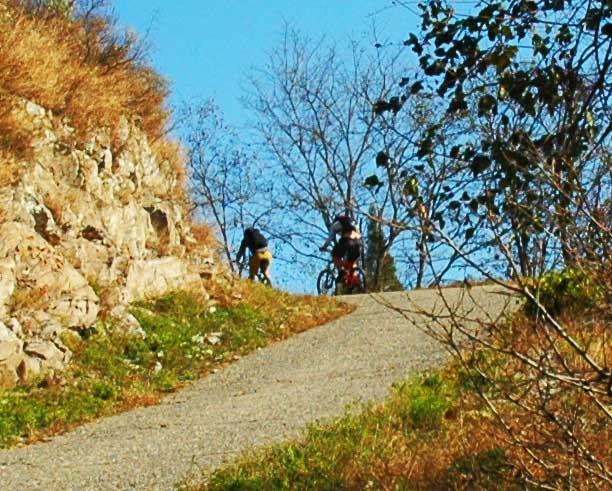 DSC_7342 副本2.jpg