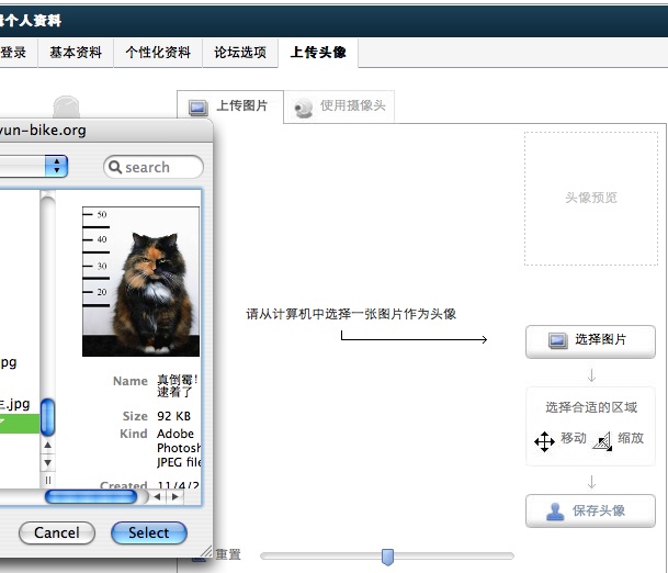 选图片时的版面