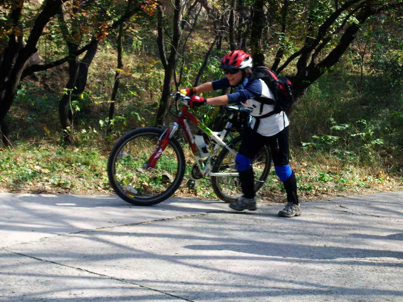 妖精的反动宣言:推车无敌