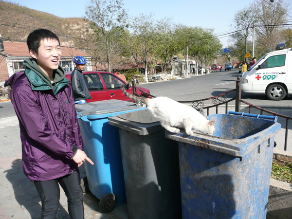 招猫ing，害得小猫只得躲进垃圾箱~~