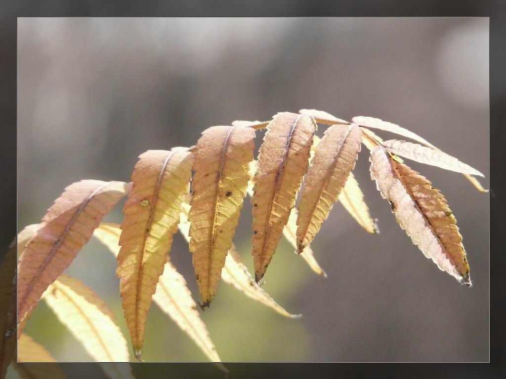 调整大小 P1020896.JPG