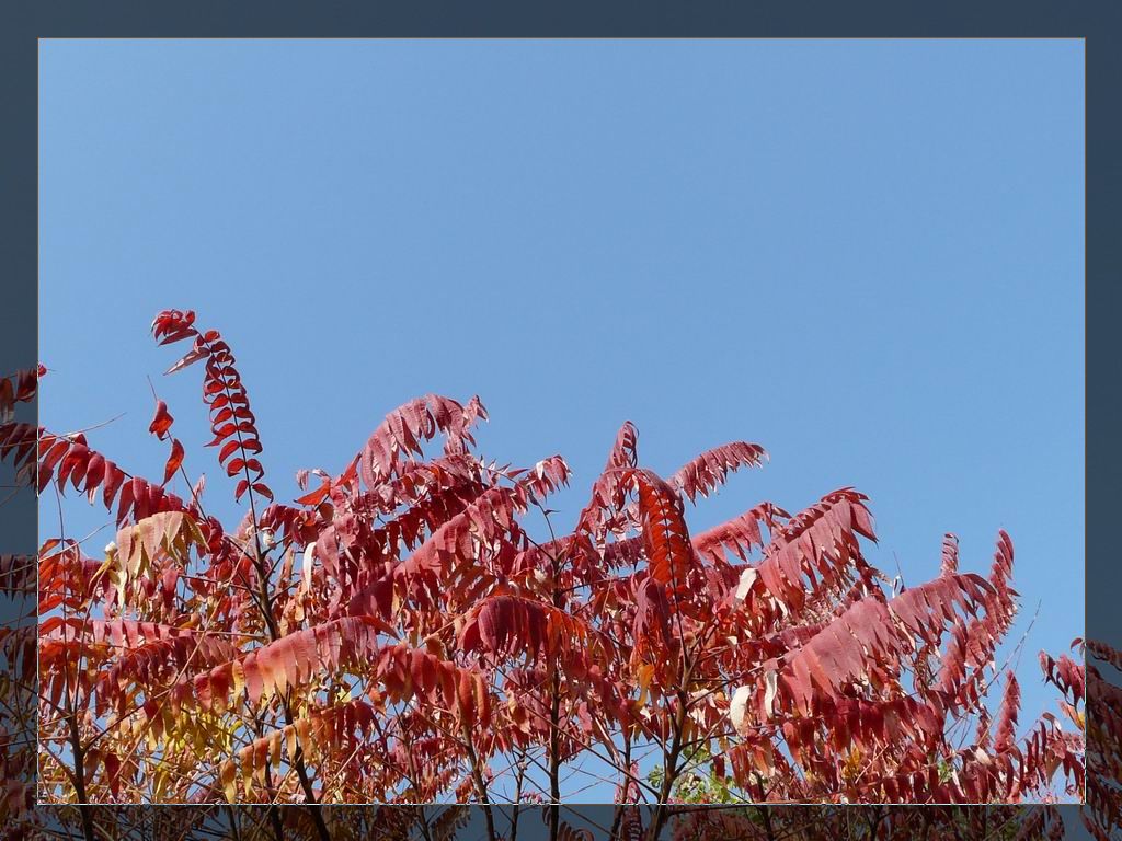 调整大小 P1020905.JPG