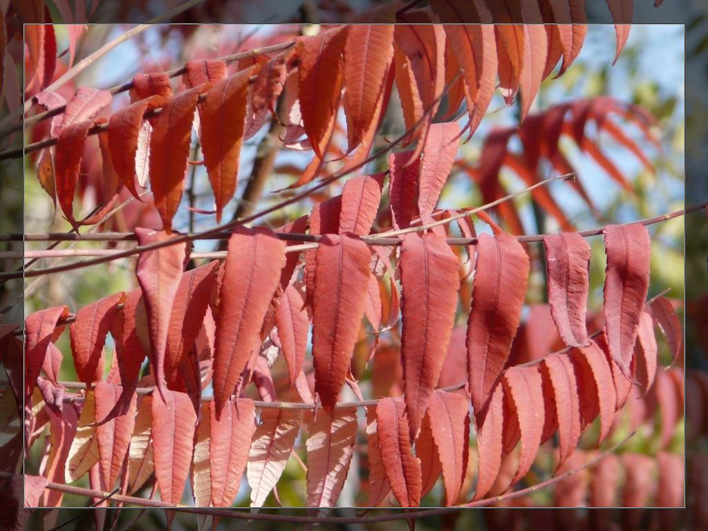 调整大小 P1020900.JPG