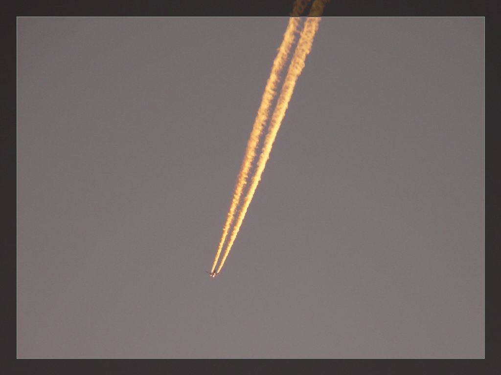 调整大小 P1020971.JPG