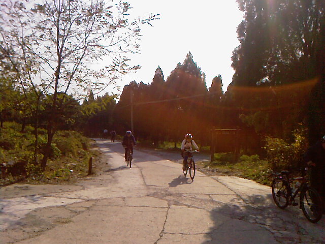 阿陡帮跚跚来迟