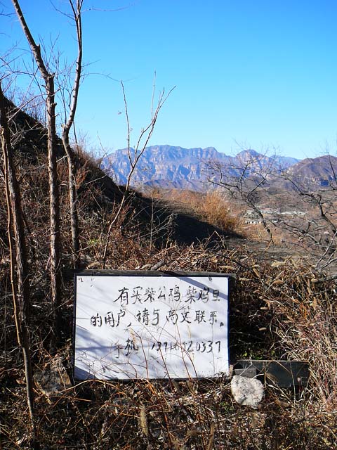 大村路边的牌子