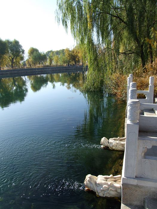 这是广灵的泉眼