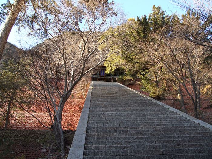 偶是爬着上去的