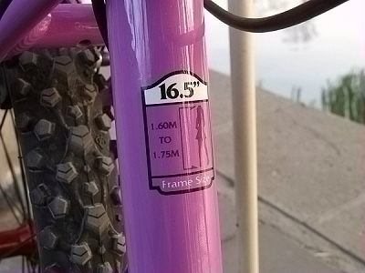 16.5的架子  160-175女孩  还好老婆没超