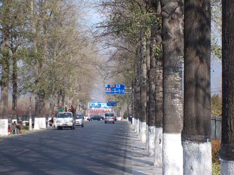 我的起点,长陵镇