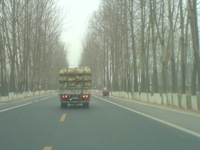 回到金昌路，鸭子特供全聚德，边开车边拍。