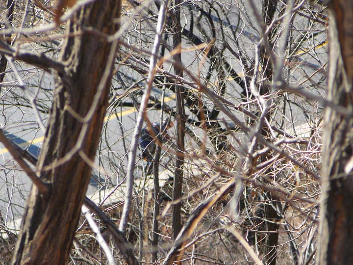 能看出来这个人是谁吗？