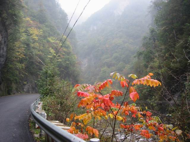 调整大小 IMG_9404.JPG