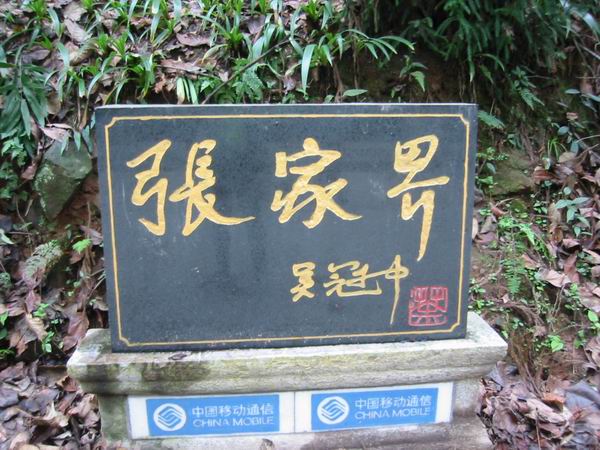 调整大小 IMG_9764.JPG