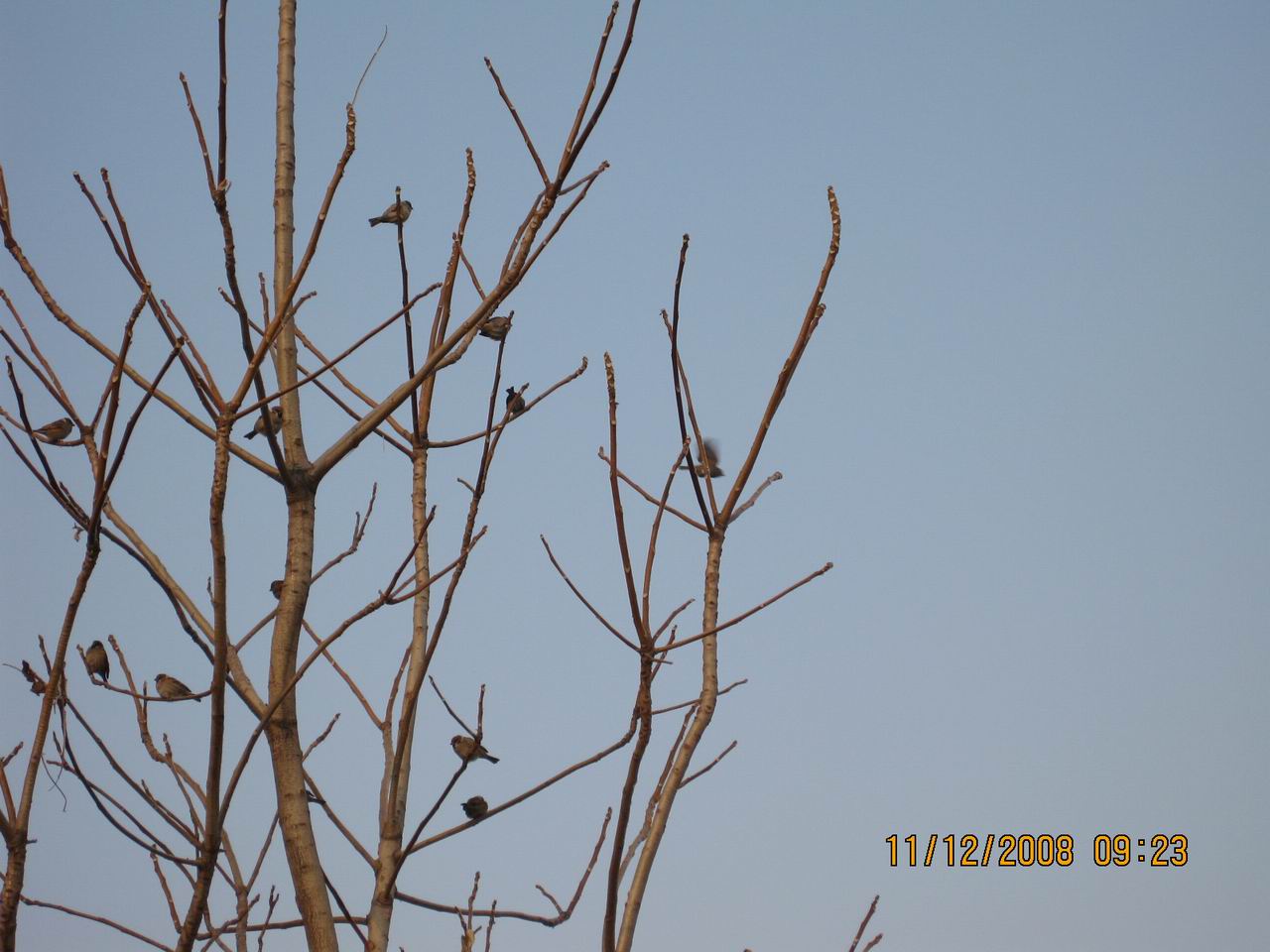 调整大小 IMG_0097.jpg