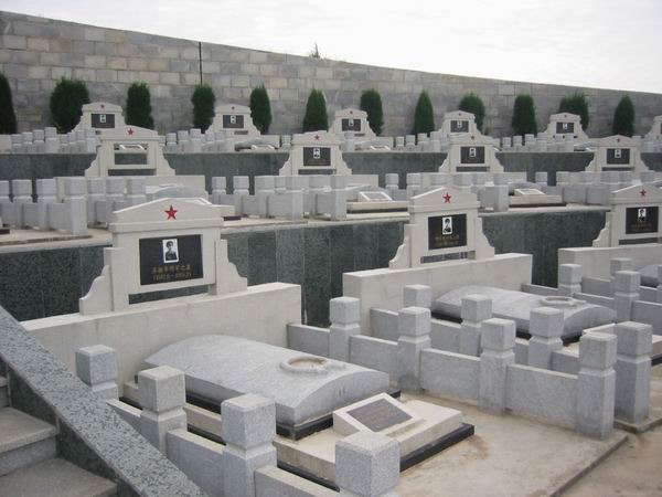 调整大小 IMG_1090.JPG