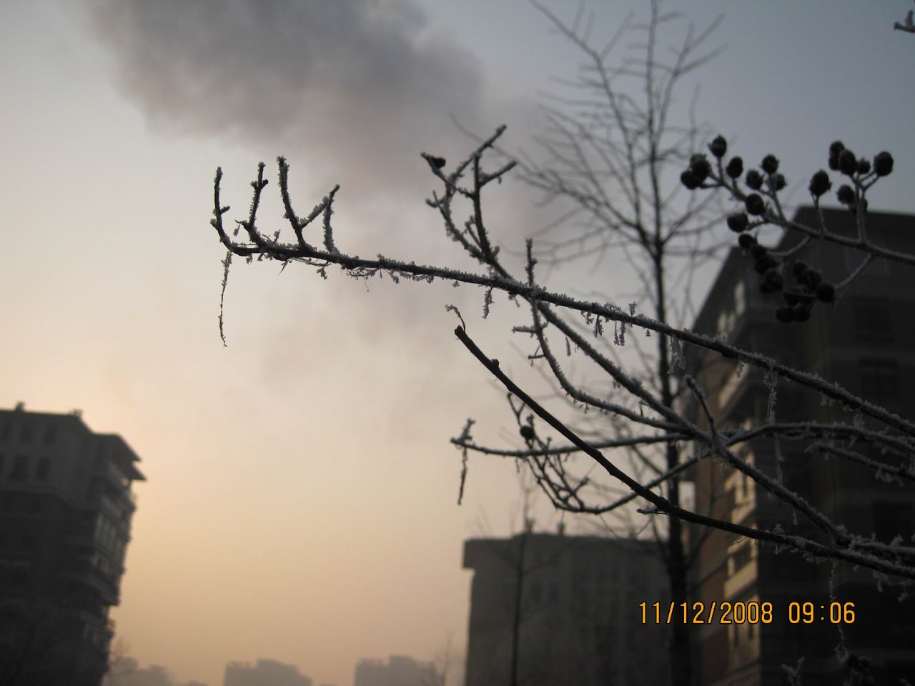 调整大小 IMG_0057.jpg