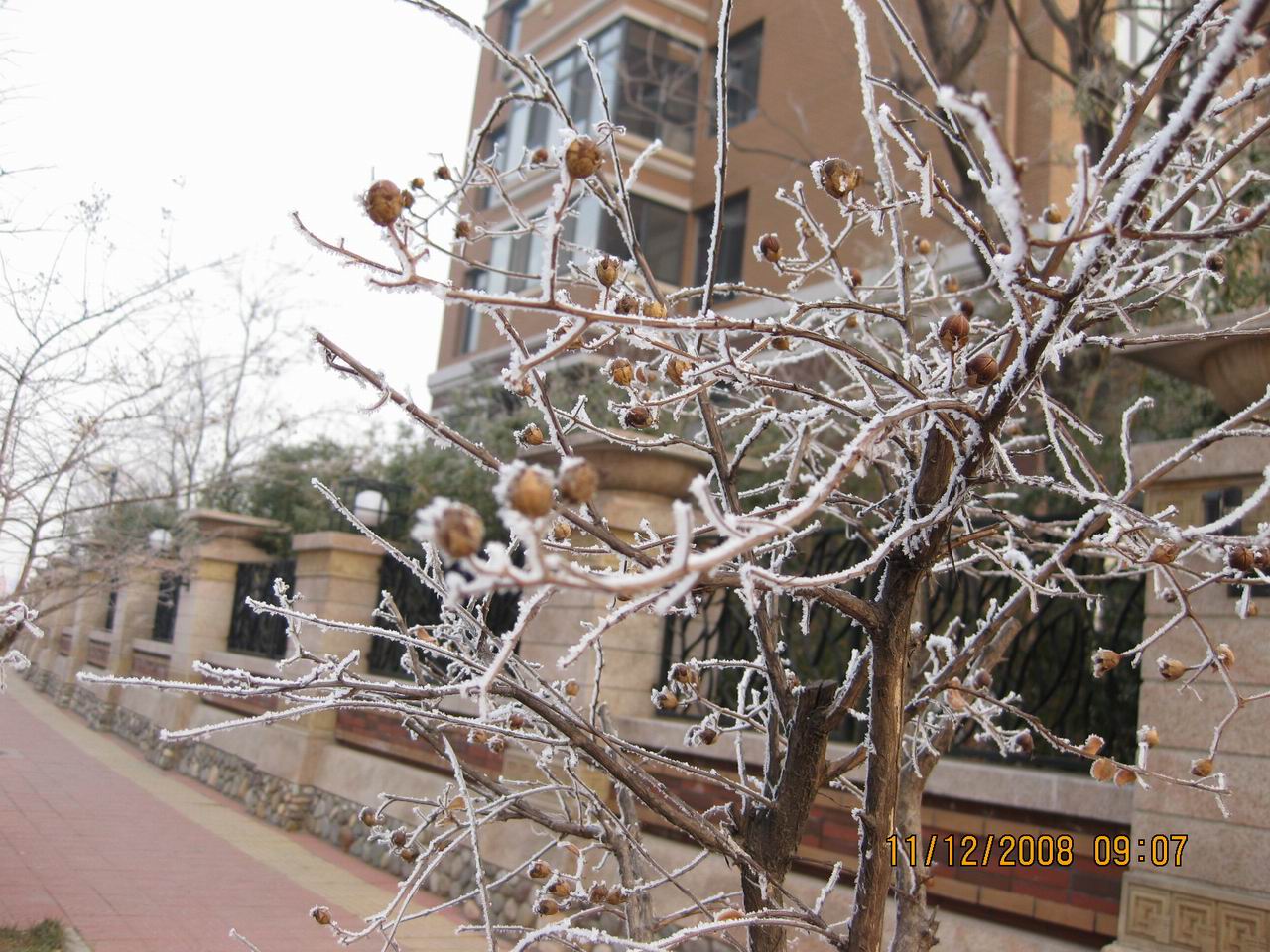 调整大小 IMG_0063.jpg