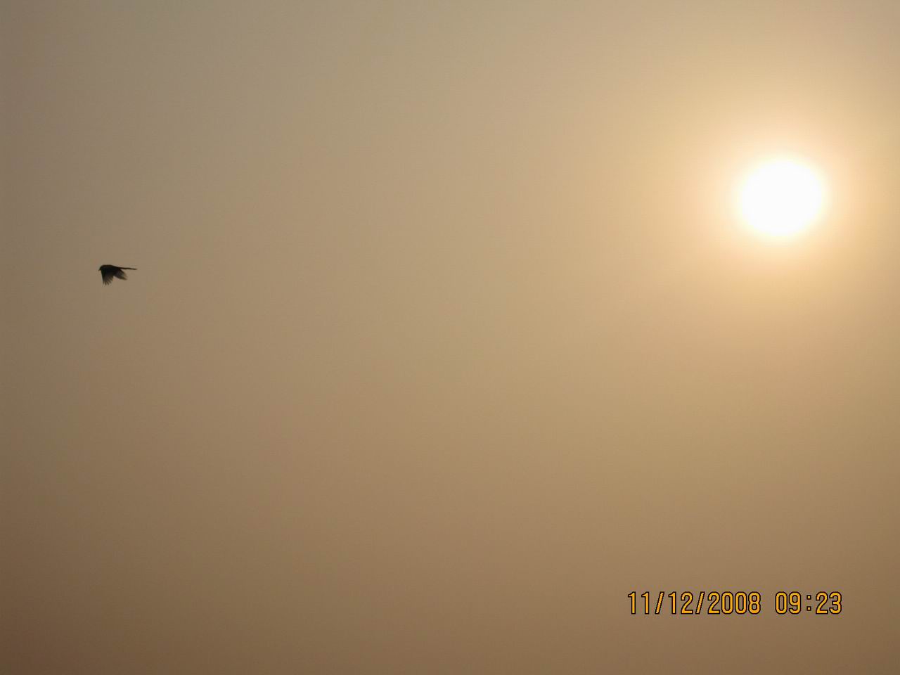 调整大小 IMG_0098.jpg