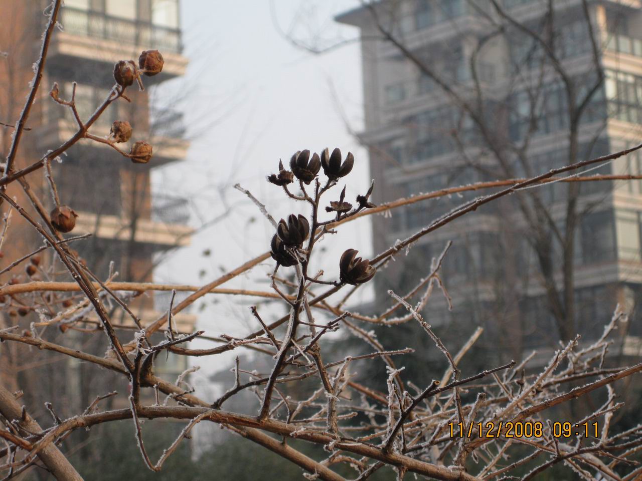 调整大小 IMG_0073.jpg