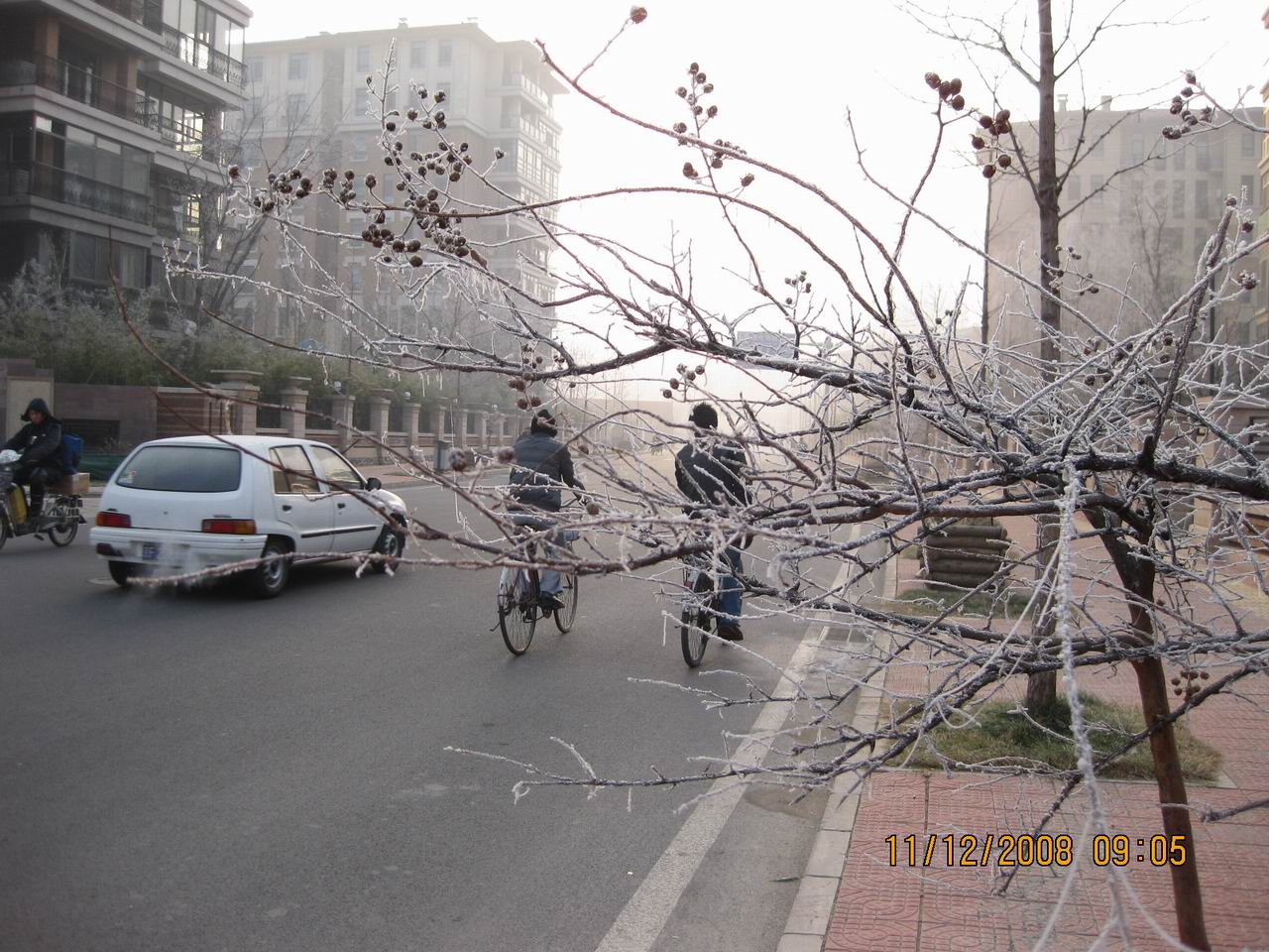 调整大小 IMG_0053.jpg