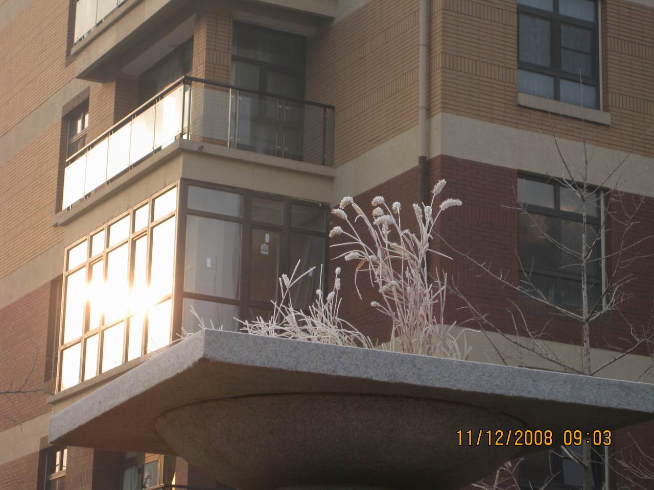 调整大小 IMG_0049.jpg